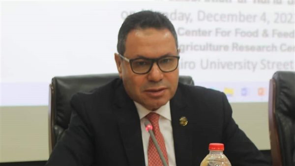 النائب هشام الحصري