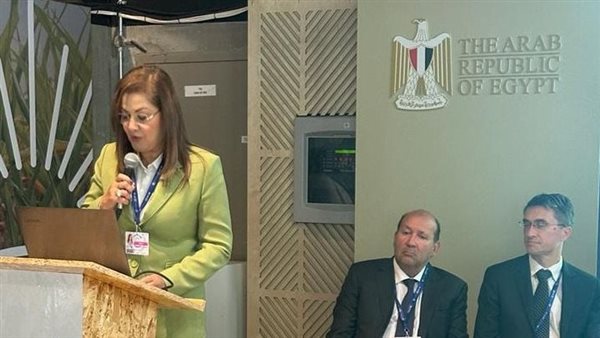 وزيرة التخطيط 