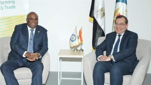 وزير البترول 