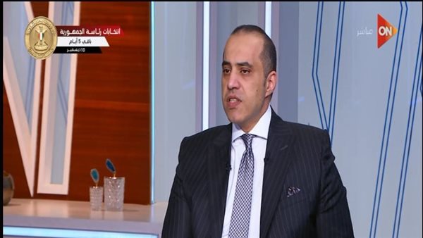 المستشار محمود فوزي