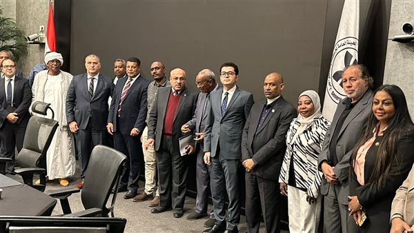 النائبة نيفين حمدي