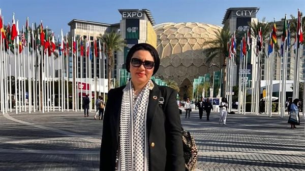 النائبة أميرة صابر