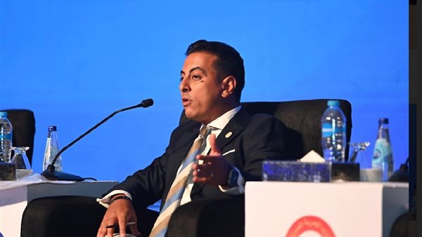 مينا عماد الجاولي