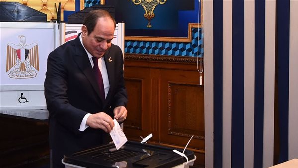 الرئيس السيسي يدلي