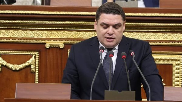 النائب حسام العمدة