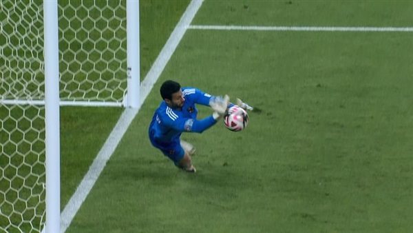 محمد الشناوي 