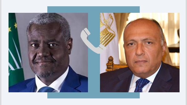 وزير الخارجية المصري-