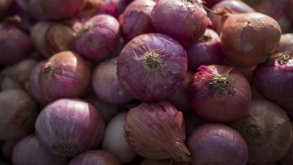 أسعار البصل