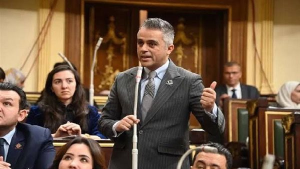  النائب أحمد فتحي