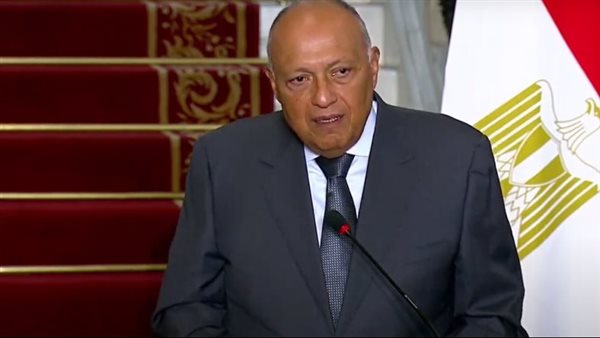 وزير الخارجية 