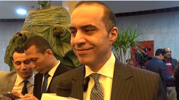  المستشار محمود فوزي