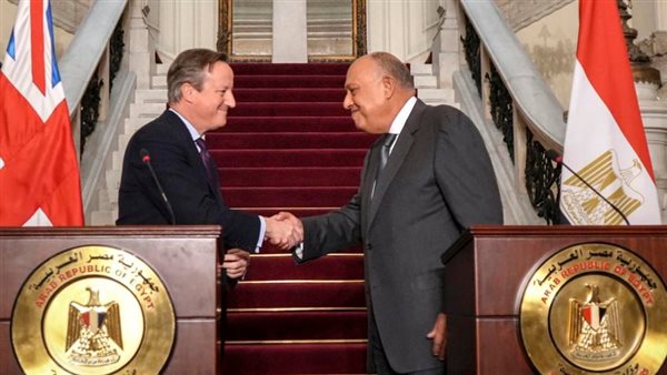 سامح شكري - ديفيد