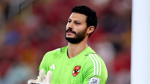 محمد الشناوي 