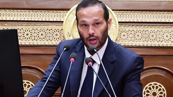 النائب محمد حلاوة،