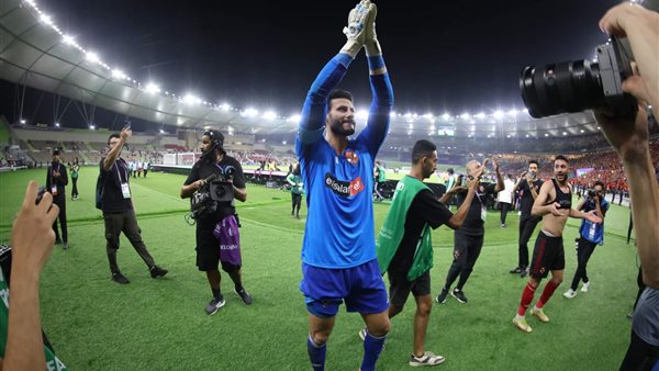 محمد الشناوي 