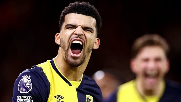 دومينيك سولانكي