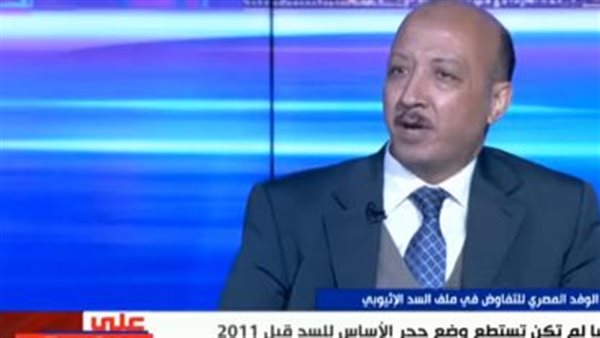 عضو الوفد المصري