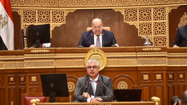 وليد جمال الدين