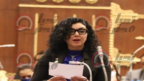 النائبة ريهام عفيفي،