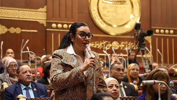 النائبة ريهام عفيفي