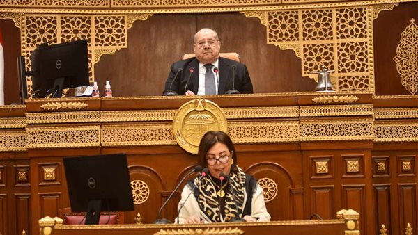 النائبة هالة كمال