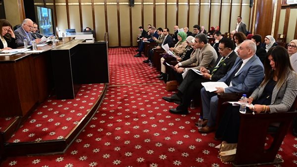 اجتماع لجنة الطاقة