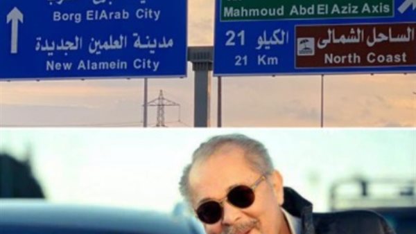 محمود عبد العزيز