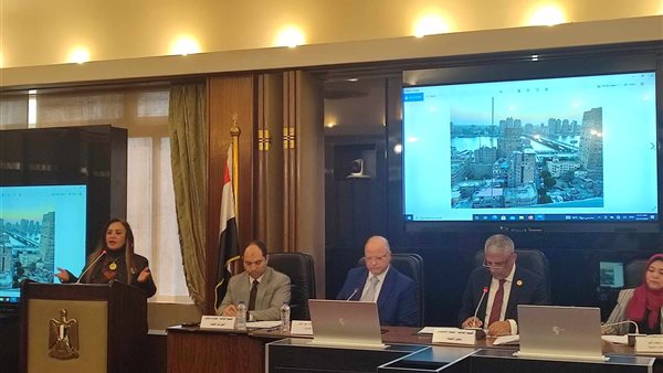 جيهان البيومي