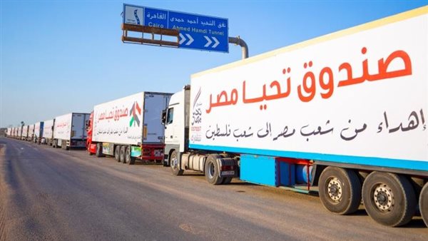 صندوق تحيا مصر