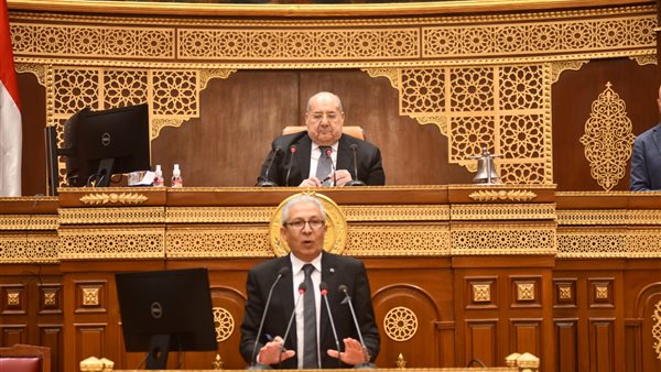 صلاح الدين مصيلحي