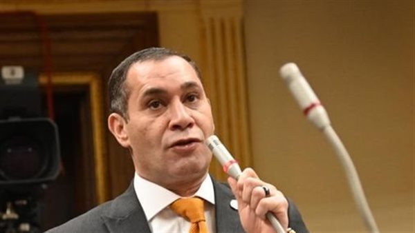 النائب أحمد عاشور