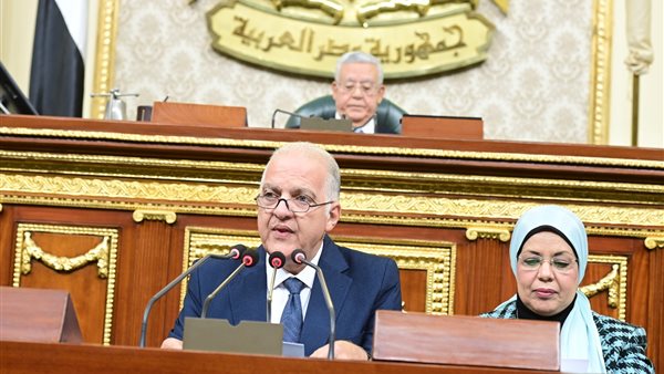 النائب طلعت السويدي