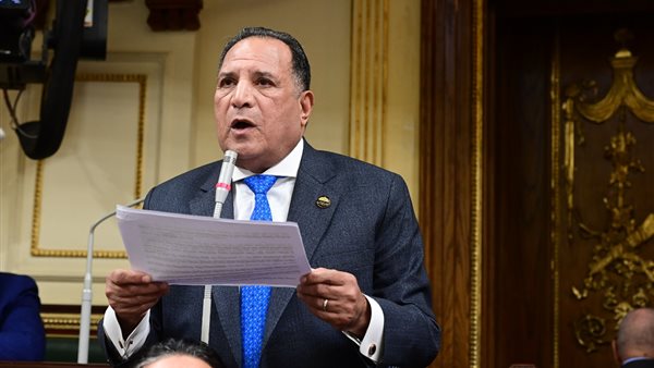 النائب محمد أبو هميلة،