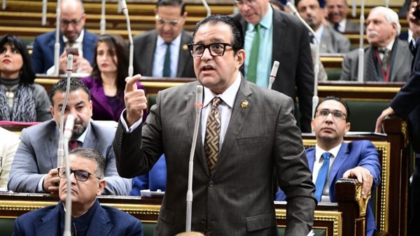 النائب علاء عابد