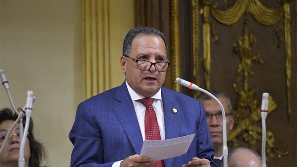 النائب محمد صلاح