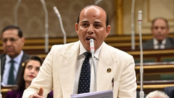  النائب عمرو القطامي