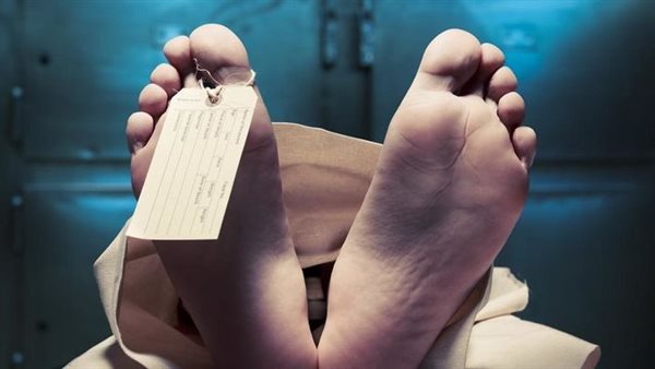 مصرع مسن بالدقهلية