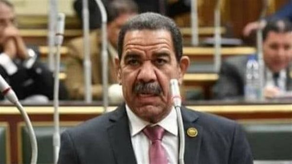 النائب حمدي سليمان