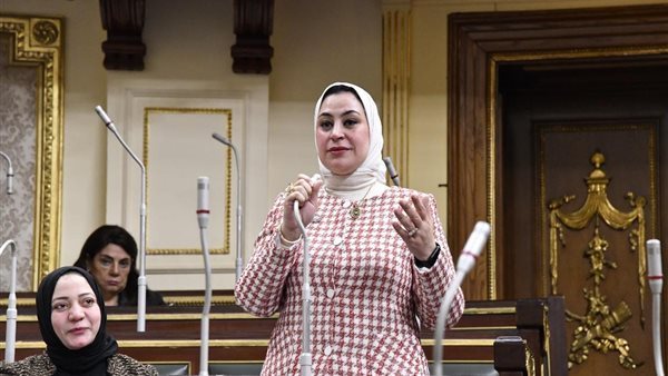 النائبة ولاء التمامي