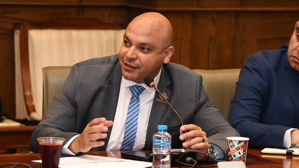 النائب محمود القط