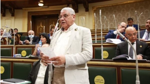 محمود الصعيدي 