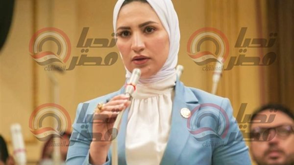 النائبة نشوى رائف