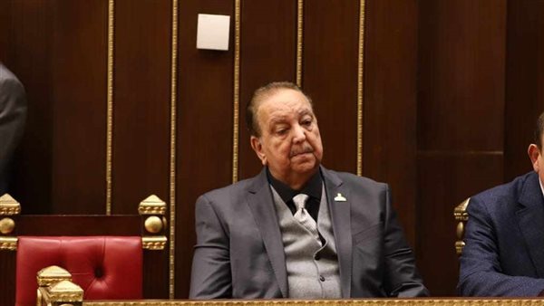 النائب الدكتور محمد