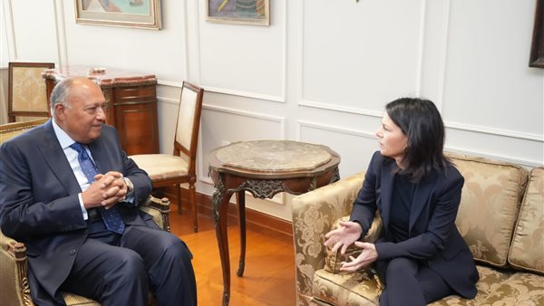 سامح شكري- أنالينا