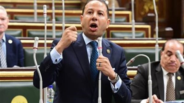 النائب حسن عمار