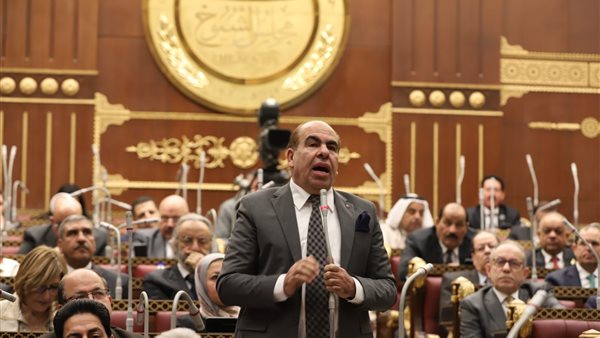 النائب ياسر الهضيبي