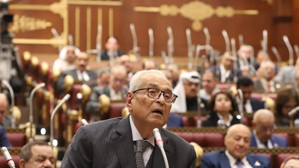 المستشار بهاء أبو