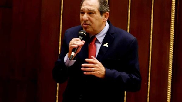  النائب حسام الخولي