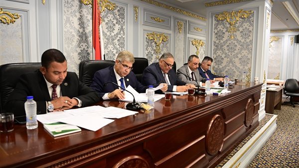 لجنة الشئون الدستورية