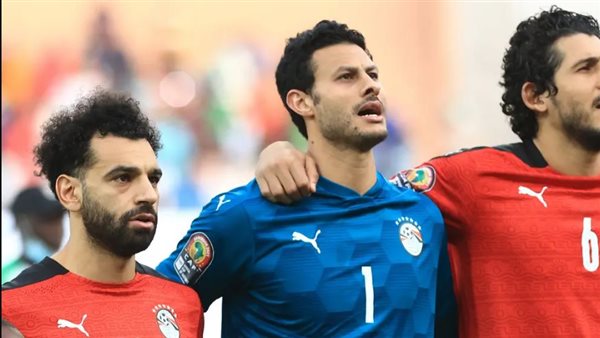 محمد الشناوي 